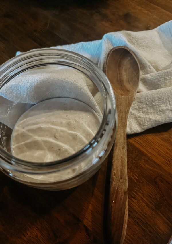 My Greatest Challenge Yet…Gluten Free Sourdough Starter