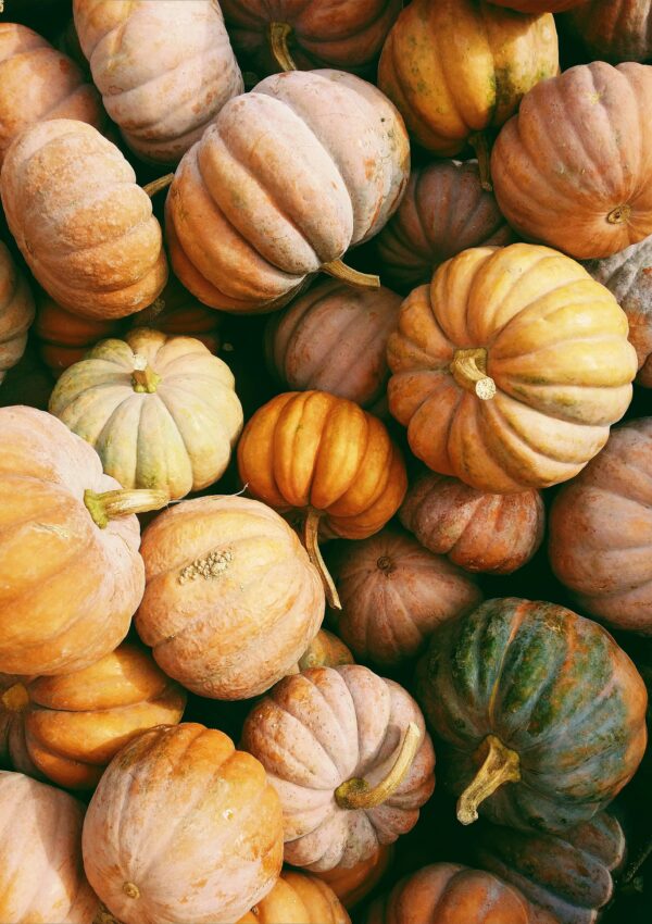 Embracing a Fresh Start This Fall